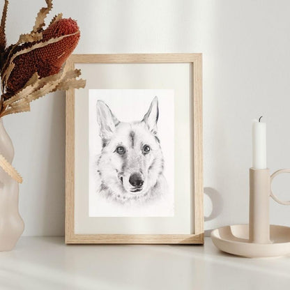 Pencil Illustration Pet