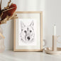 Pencil Illustration Pet