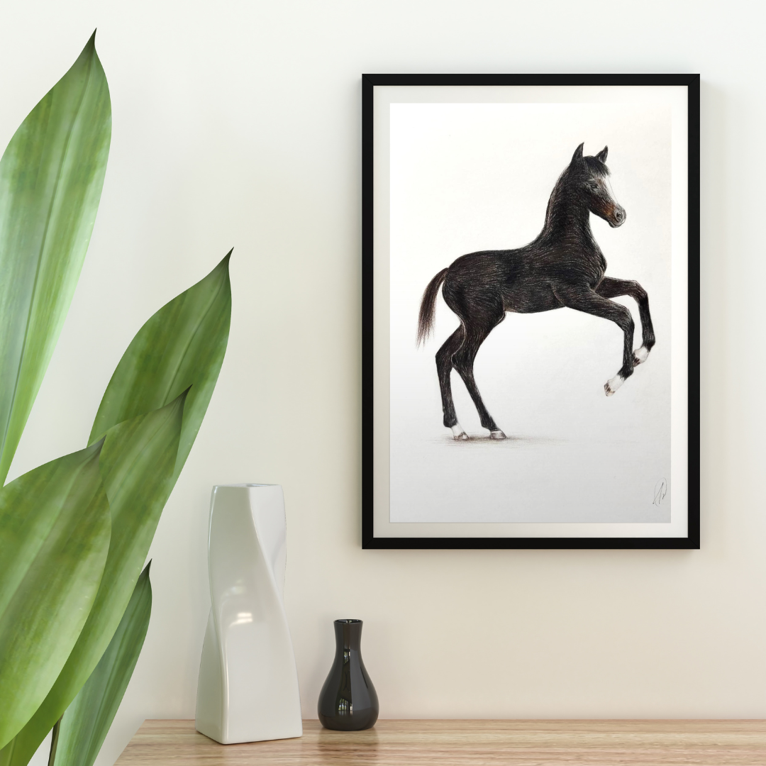 Pencil Illustration Pet