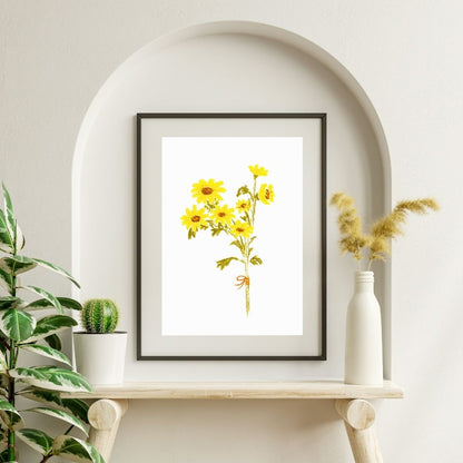 Girasol