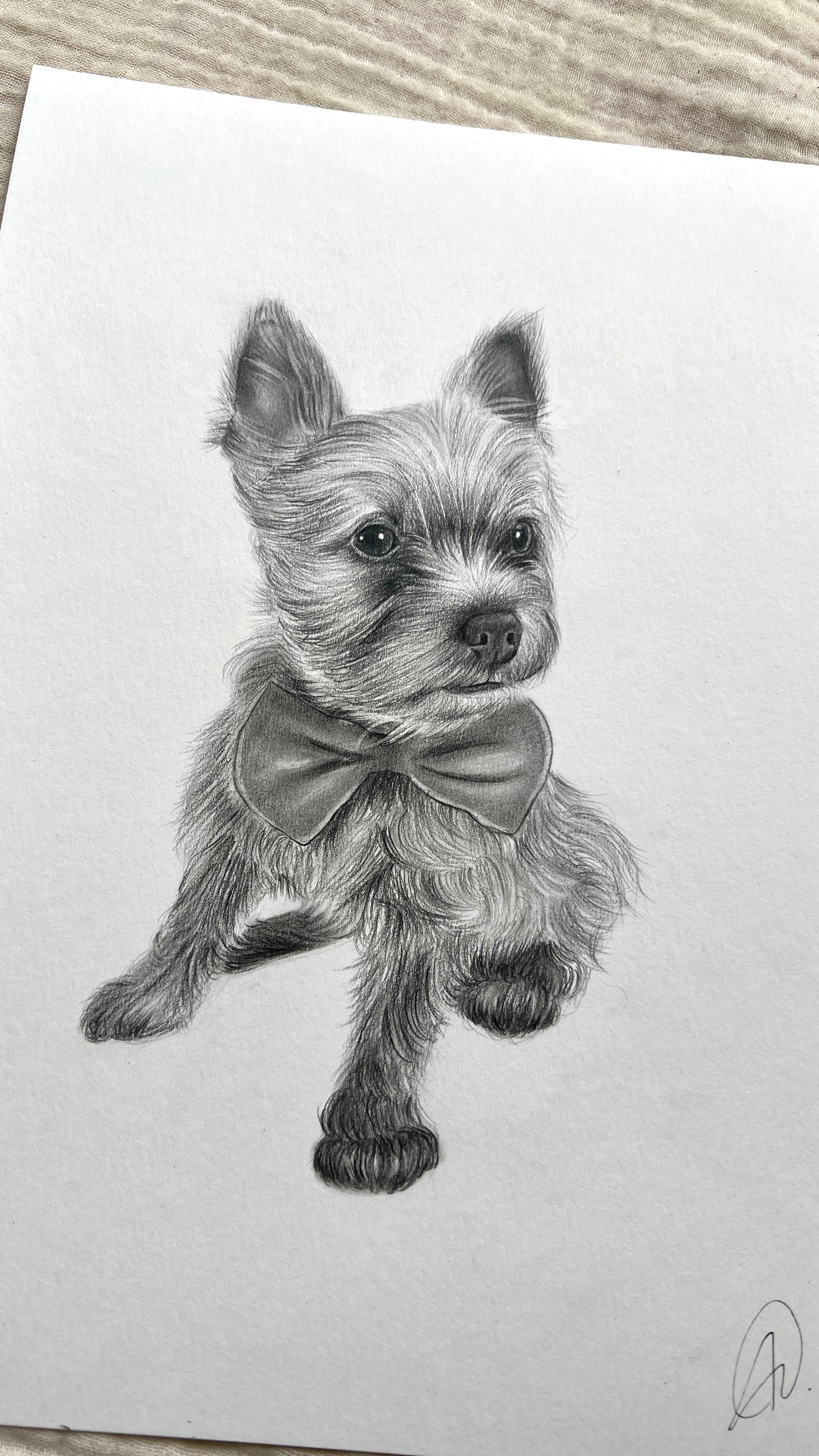 Ilustración a Lápiz mascota