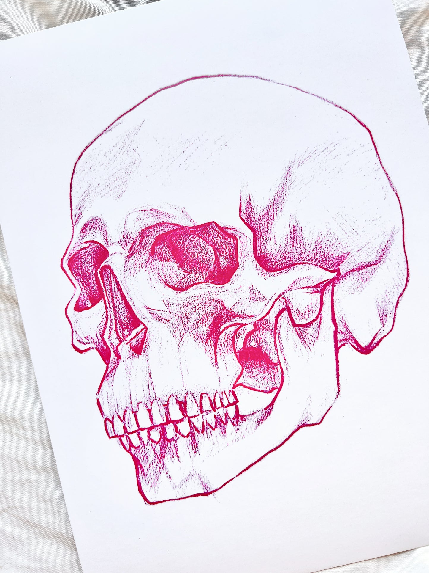 Calavera Rosa