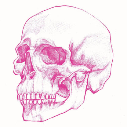 Skull Sticker