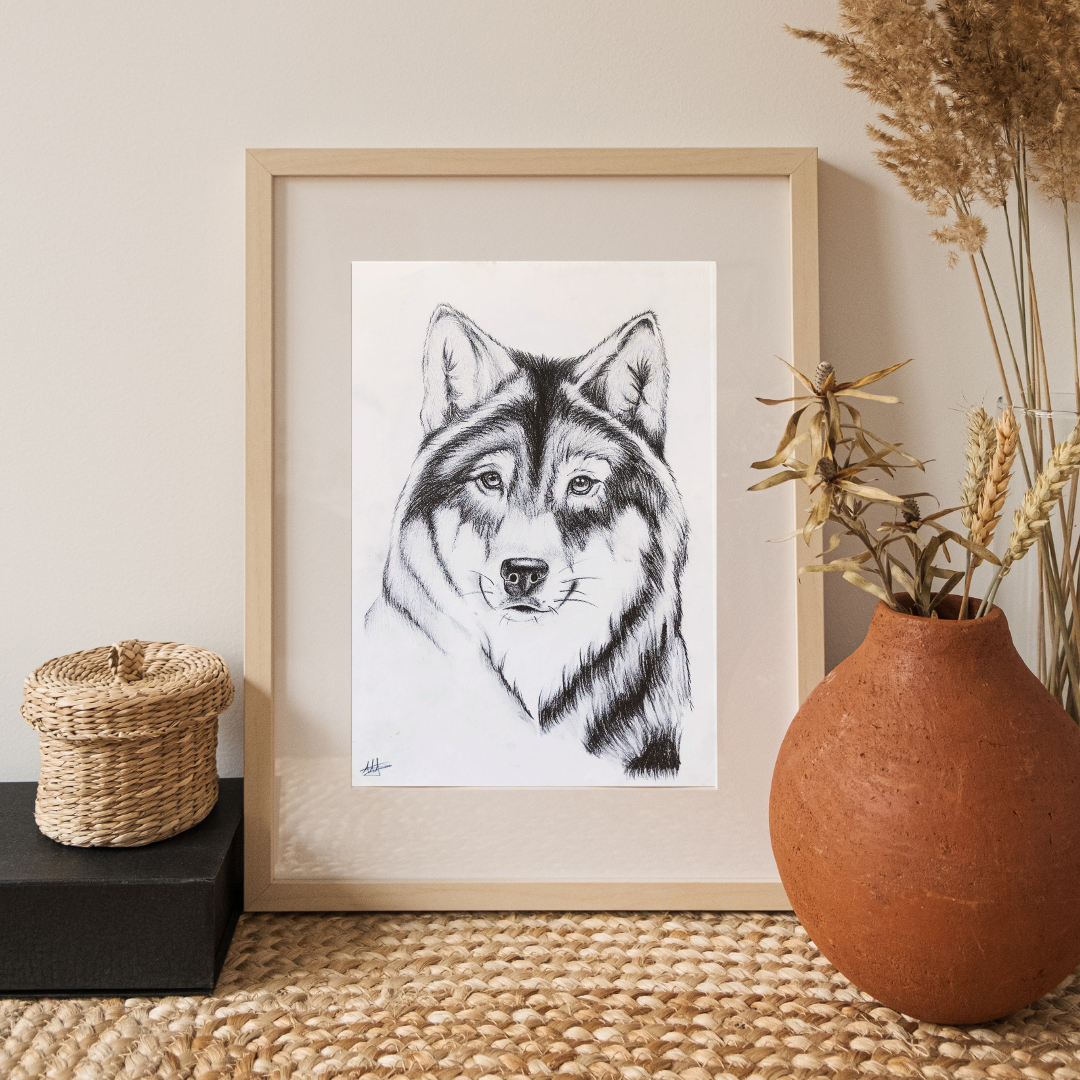 Pencil Illustration Pet