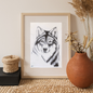 Pencil Illustration Pet