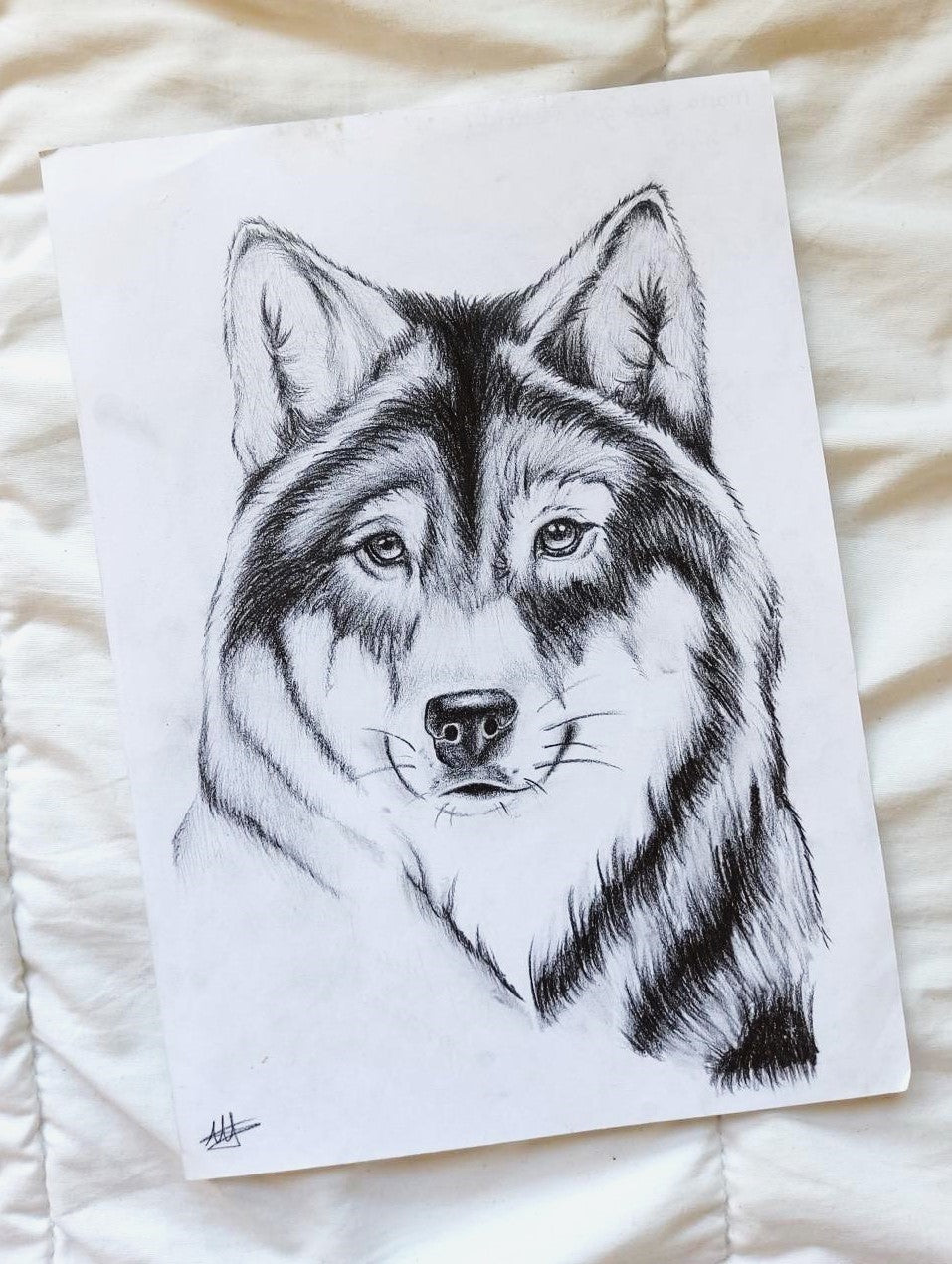 Pencil Illustration Pet