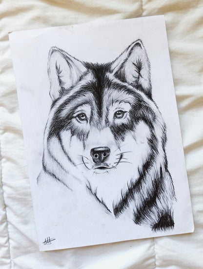 Pencil Illustration Pet