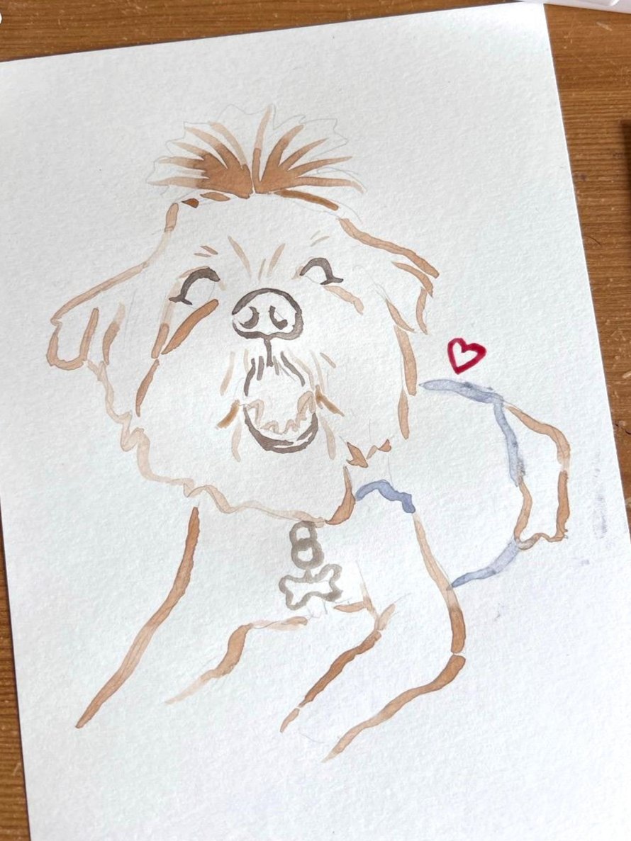 Ilustración Silueta mascota
